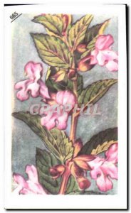 Image Entremets Francorusse Melitte Hood