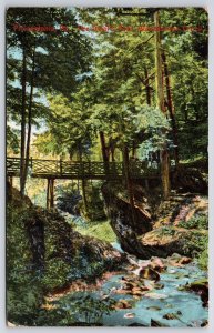 1909 Devil's Pool Wissahickon Creek Philadelphia Pennsylvania PA Posted Postcard
