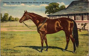 One of the Greatest Race Horses of All Time Postcard PC171