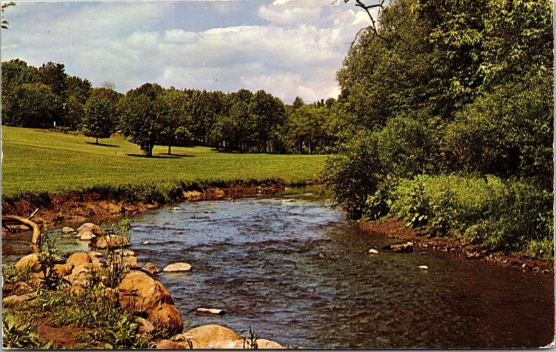 Greetings From Early Iowa IA Brook Postcard VTG UNP Plastichrome Vintage Unused 