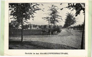 HAARLEM Gezicht in het Haarlemmerhoutpark NETHERLANDS (603322)