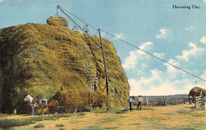 Harvesting Stacking Hay Large Stack Farming 1910c postcard