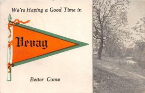 A59/ Vevay Indiana In Pennant Postcard c1910 Having a Good Time