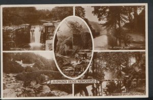 Northumberland Postcard - Jesmond Dene, Newcastle-On-Tyne  RS9267