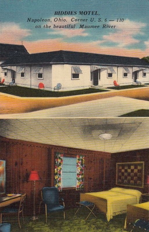 Postcard Biddies Motel Napoleon OH