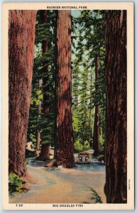 1937 Nisqually, Longmire Springs, Rainier, WA Big Douglas Firs Tree Redwood A221