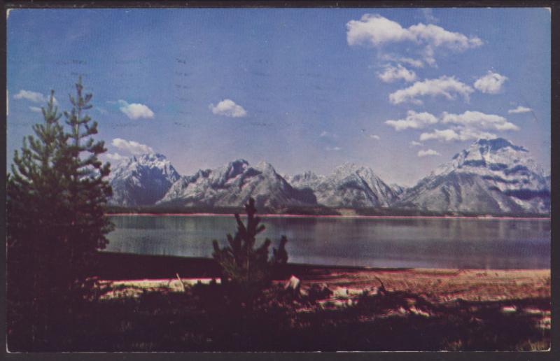 Jackson Lake,WY Postcard BIN