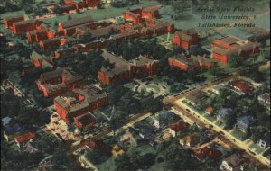 Tallahassee Florida FL State University Aerial View c1930s-40s Linen Postcard