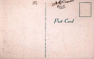 Bible Conference   Sandy Cove   Maryland  Postcard