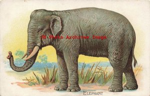 Educational Cards, Tuck Wild Animals, Elephant