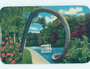 Pre-1980 SILVER SPRINGS SCENE Ocala Florida FL AF9786