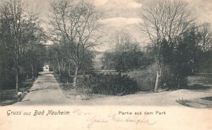 Vintage Postcard Gruss Aus Nauheim Partie Aus Dem Park Germany