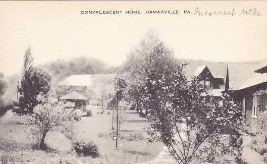 Pennsylvania Hamarville Convalescent Home Artvue