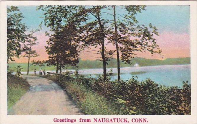 Connecticut Greetings From Naugatuck