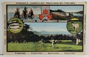 New Brunswick Canada Unspoiled Province by the Sea Multi Scene Postcard Q2