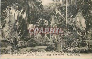  Vintage Postcard Guinea Konakry Africa Western French Park