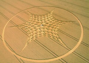 Wheat Crop Circle Blowingstone Hill Wiltshire Postcard