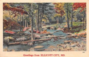 Ellicott City Maryland Greetings River Scenic View Linen Postcard AA109895