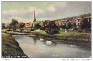 Swans, On The Stream, Dawlish (Devon), England, UK, 1900-1910s