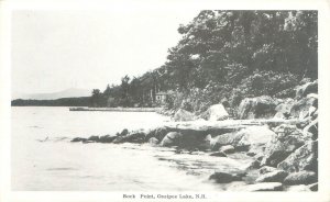 Ossipee New Hampshire Rock Point & Lake Ossipee B&W Postcard