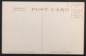 Fort William Henry Hotel on Lake George Detroit Publ Co 70852