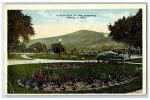 c1920 Scenic View Raton Peak Distance Watering Garden Raton New Mexico Postcard