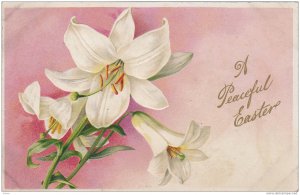 A Peaceful Easter, white Lillies, 10-20s