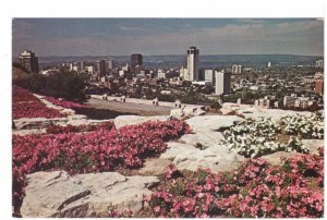 View From Sam Lawrence Park, Hamilton, Ontario, Vintage Chrome Postcard