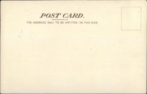 P&O Steamship Co SS Arabia c1905 Postcard EXC COND