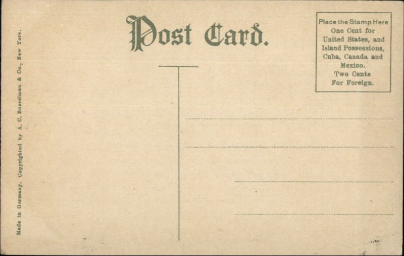 1907 Jamestown Expo Native Indian w/ Hatchet Multi View Postcard