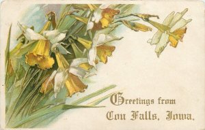 Cou Falls Iowa~White Yellow Daffodil Greetings~News Scarce~Embossed~1909