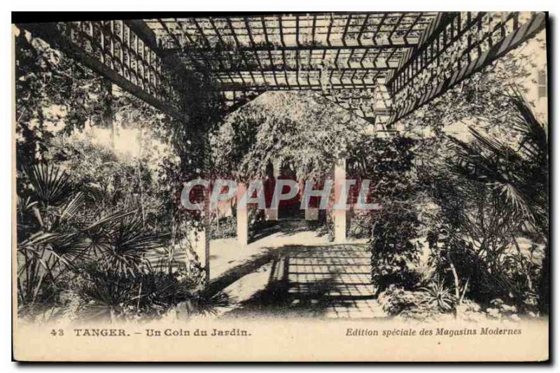 Old Postcard Tangier A Corner of the Garden