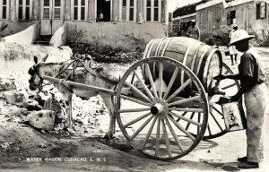 curacao, N.W.I., WILLEMSTAD, Water Wagon, Donkey Cart (1950s) RPPC Postcard