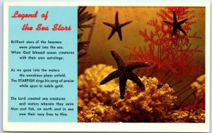 Postcard - Legend of the Sea Stars