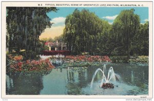 Typical beautiful scene at Greenfield Lake and Park,  Wilmington,  North Caro...