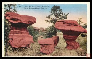 Toad and Toadstools in Mushroom Park, Garden of Gods, Colo