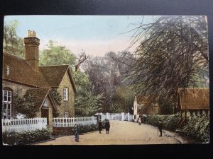 Sussex: MIDHURST Easebourne, Entrance to Cowdray Park c1907 by The Wrench Series