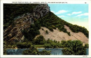 Vtg Delaware Water Gap Pennsylvania PA Indian Profile Rock Mt Tammany Postcard