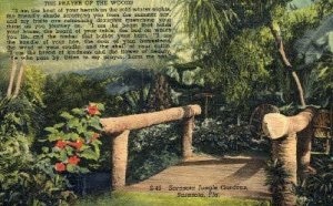 Sarasota Jungle Gardens - Florida FL  