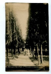 497305 Georgia Batum Boulevard 1 Cypress Alley Vintage photo postcard