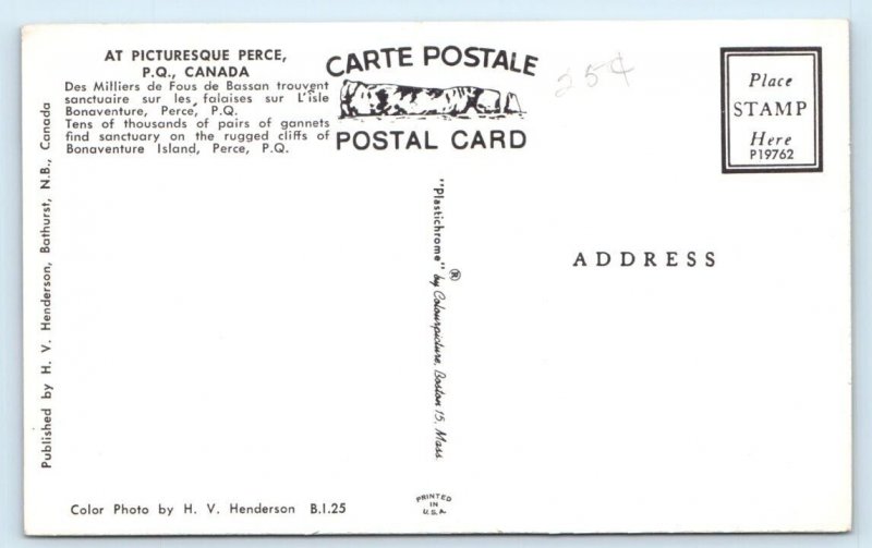 Bonaventure Island PERCE Gannet Birds CANADA Postcard