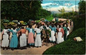 PC CPA JAMAICA, CONSTANT SPRING ROAD, Vintage Postcard (b21591)