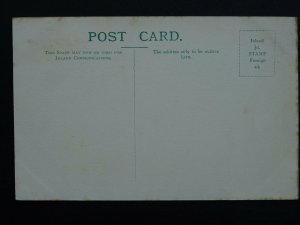 Horse Theme ELBA Lord Cadogan's Gt. Metropolitan Stakes Winner c1904 Postcard