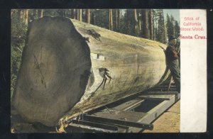 SANTA CRUZ CALIFORNIA HUGE LOG LOGGING CUT VINTAGE POSTCARDE 1908