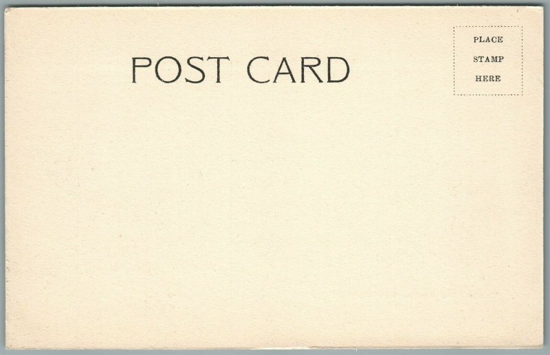 PINE BROOK NJ PASSAIC RIVER BRIDGE ANTIQUE POSTCARD