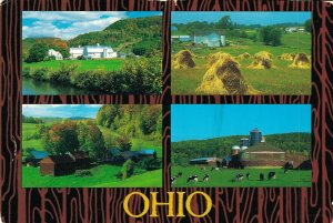 USA Ohio The Heart of it All, Several Scenic Farms Vintage Postcard BS.10