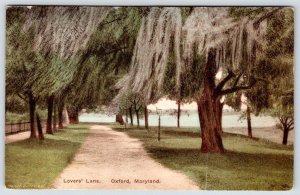 1920's OXFORD MD LOVER'S LANE HAND COLORED ANTIQUE ALBERTYPE POSTCARD**CREASED**