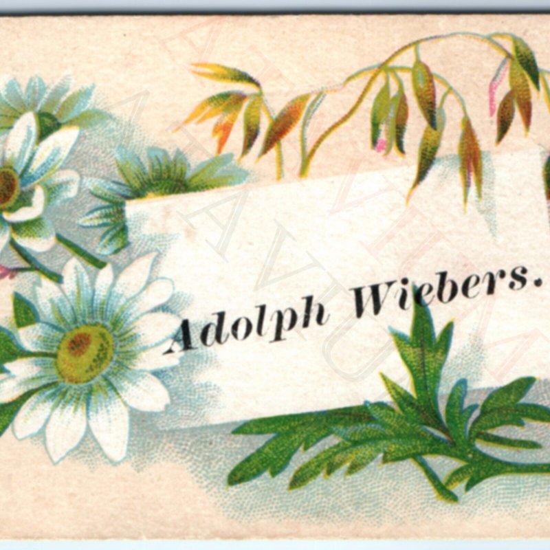 c1880s Adolph Wiebers Calling Trade Name Card Mexican Fleabane Beresford, SD C45