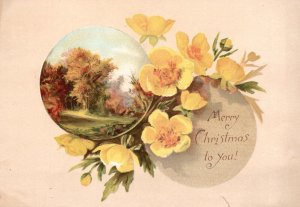 1880s-90s Merry Christmas to You Yellow Flowers Field Trade Card