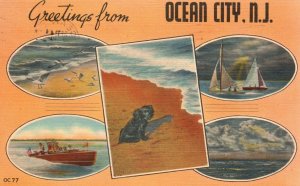 Vintage Postcard 1945 Greetings From Ocean City New Jersey NJ Ocean View Beaches